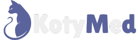 Kotymed